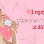 Uống Bao Nhiêu Nước Mỗi Ngày Là Đủ Cho Cơ Thể