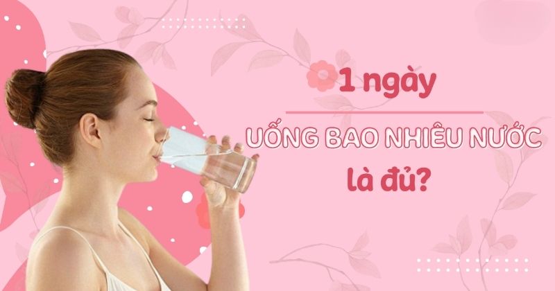 Uống Bao Nhiêu Nước Mỗi Ngày Là Đủ Cho Cơ Thể