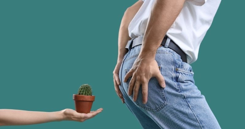 Dấu Hiệu Bệnh Trĩ Từ Giai Đoạn Khởi Phát Đến Triệu Chứng Nặng 2 Bệnh trĩ là gì và tại sao lại hình thành