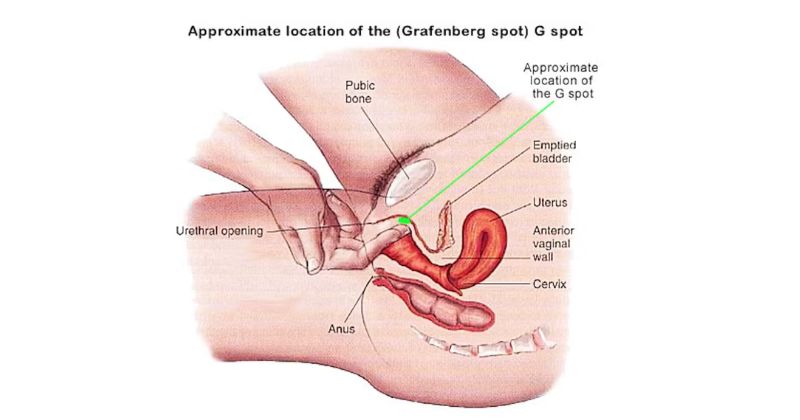 vị trí điểm G ở mỗi người